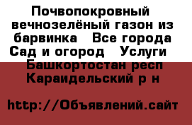 Почвопокровный, вечнозелёный газон из барвинка - Все города Сад и огород » Услуги   . Башкортостан респ.,Караидельский р-н